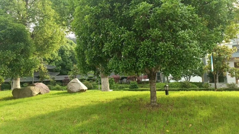 小区绿化施工验收：标准与细节解析**