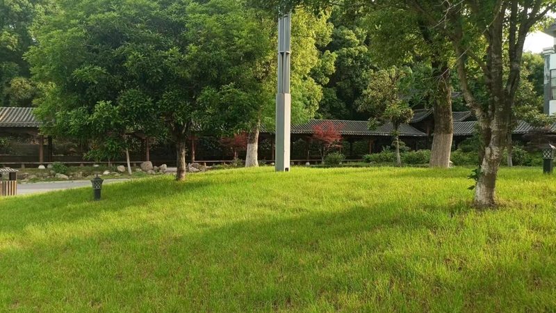 北京立体绿化：探索其优缺点与成本考量