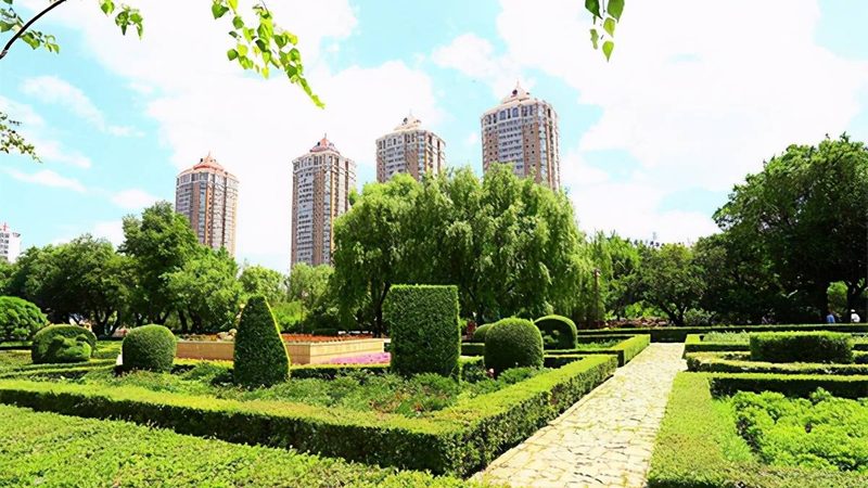 写字楼绿植租赁多少钱一个月